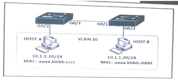 350-401 dumps exhibit